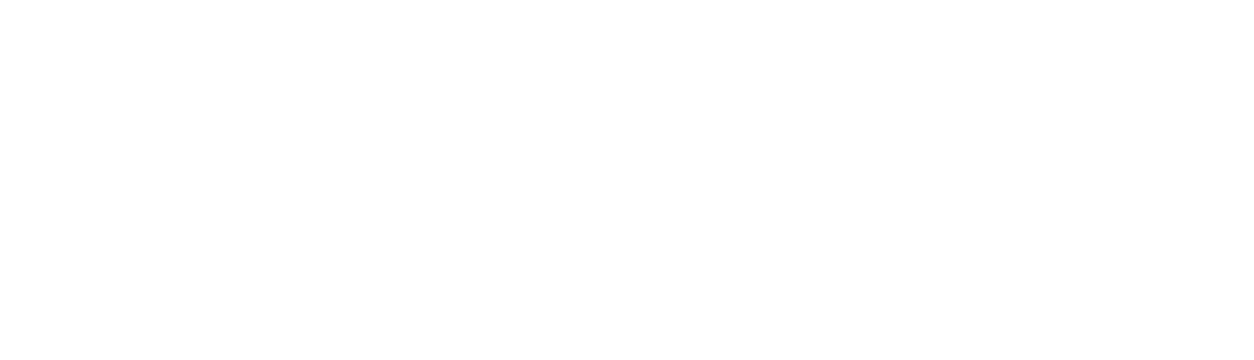 VideoraIQ